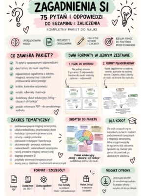 zagadnienia SI